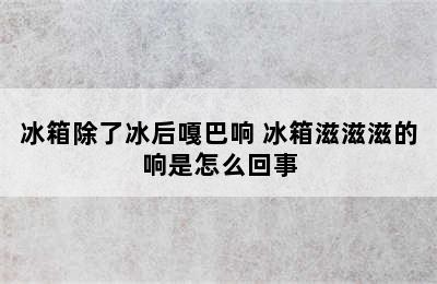 冰箱除了冰后嘎巴响 冰箱滋滋滋的响是怎么回事